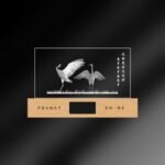 3D engraving-white crane-01